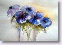 Anemonen.jpg