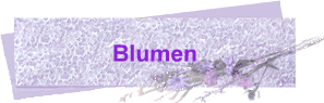 Blumen