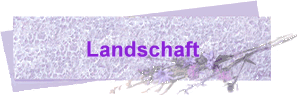 Landschaft