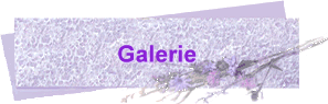 Galerie