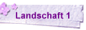 Landschaft 1