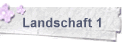 Landschaft 1