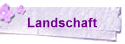 Landschaft