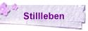 Stillleben