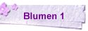 Blumen 1