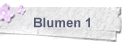Blumen 1