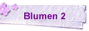 Blumen 2