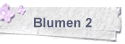 Blumen 2