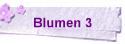 Blumen 3