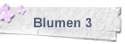 Blumen 3